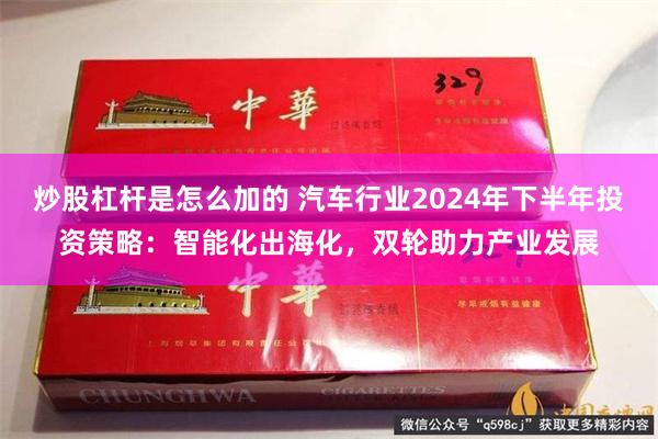 炒股杠杆是怎么加的 汽车行业2024年下半年投资策略：智能化出海化，双轮助力产业发展