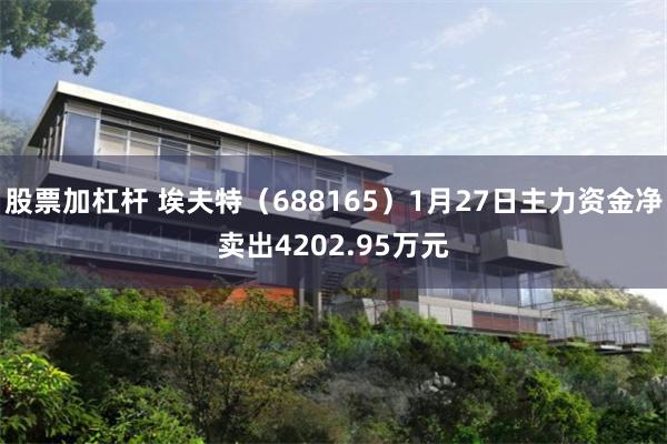 股票加杠杆 埃夫特（688165）1月27日主力资金净卖出4202.95万元