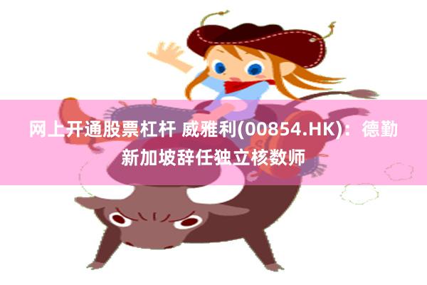 网上开通股票杠杆 威雅利(00854.HK)：德勤新加坡辞任独立核数师