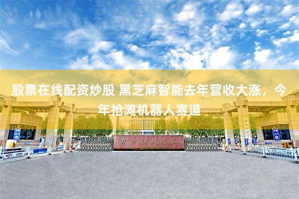 股票在线配资炒股 黑芝麻智能去年营收大涨，今年抢滩机器人赛道