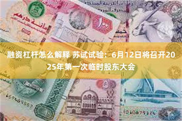融资杠杆怎么解释 苏试试验：6月12日将召开2025年第一次临时股东大会
