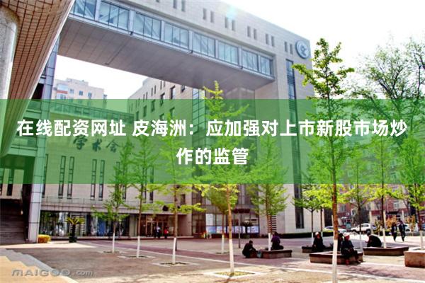 在线配资网址 皮海洲：应加强对上市新股市场炒作的监管