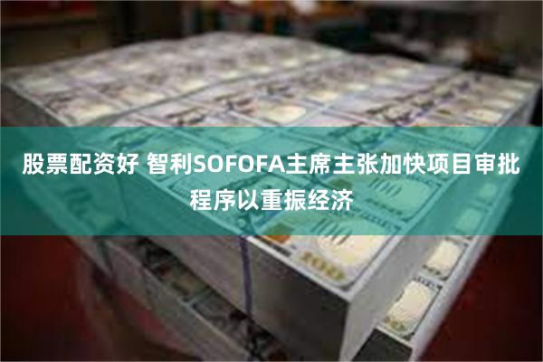股票配资好 智利SOFOFA主席主张加快项目审批程序以重振经济