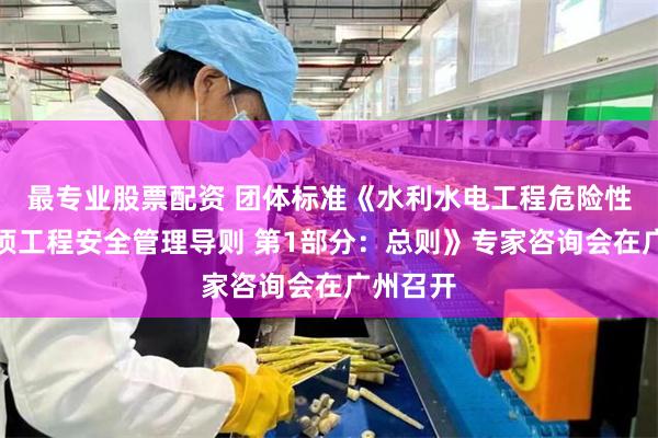 最专业股票配资 团体标准《水利水电工程危险性较大单项工程安全管理导则 第1部分：总则》专家咨询会在广州召开