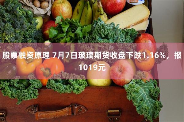 股票融资原理 7月7日玻璃期货收盘下跌1.16%，报1019元