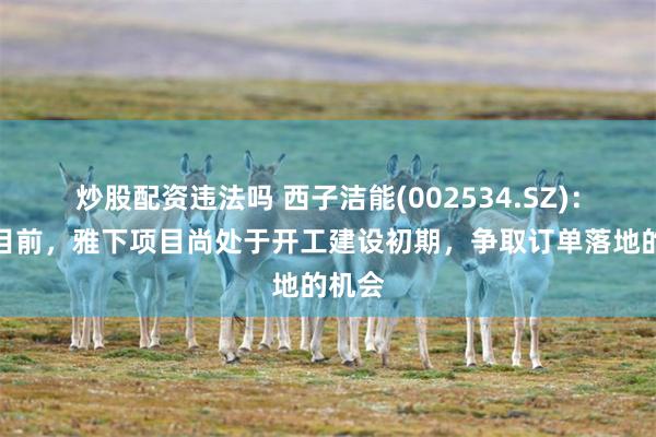 炒股配资违法吗 西子洁能(002534.SZ)：截至目前，雅下项目尚处于开工建设初期，争取订单落地的机会