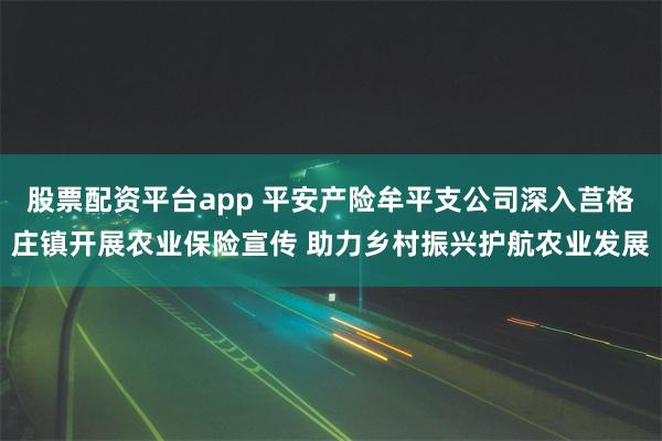 股票配资平台app 平安产险牟平支公司深入莒格庄镇开展农业保险宣传 助力乡村振兴护航农业发展