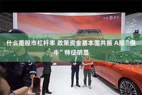 什么是股市杠杆率 政策资金基本面共振 A股“慢牛”特征明显