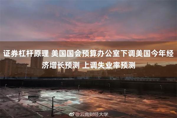 证券杠杆原理 美国国会预算办公室下调美国今年经济增长预测 上调失业率预测