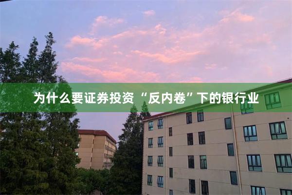 为什么要证券投资 “反内卷”下的银行业
