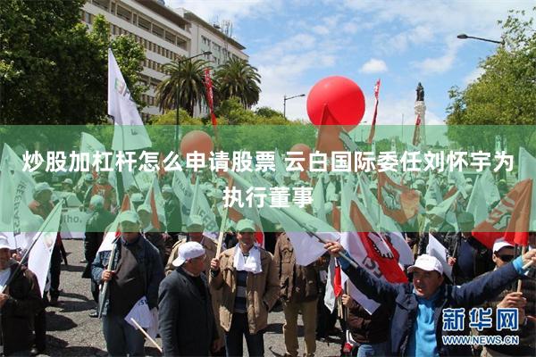 炒股加杠杆怎么申请股票 云白国际委任刘怀宇为执行董事