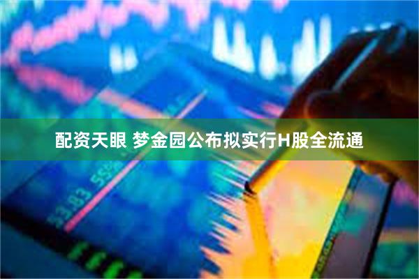 配资天眼 梦金园公布拟实行H股全流通