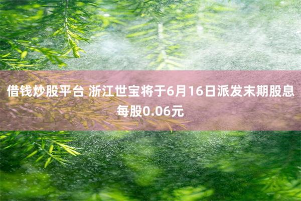 借钱炒股平台 浙江世宝将于6月16日派发末期股息每股0.06元
