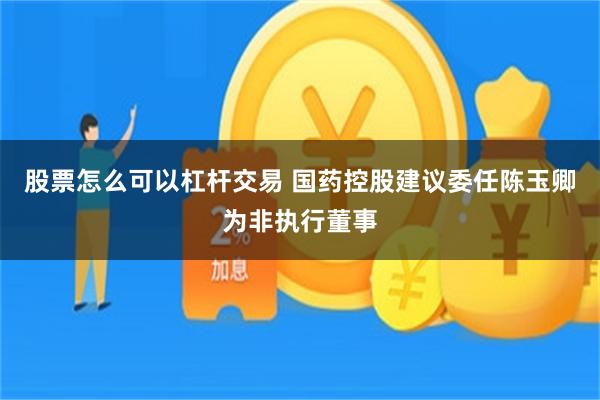 股票怎么可以杠杆交易 国药控股建议委任陈玉卿为非执行董事