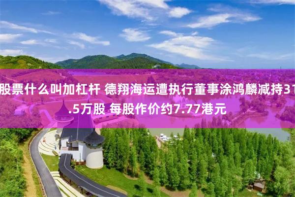 股票什么叫加杠杆 德翔海运遭执行董事涂鸿麟减持31.5万股 每股作价约7.77港元