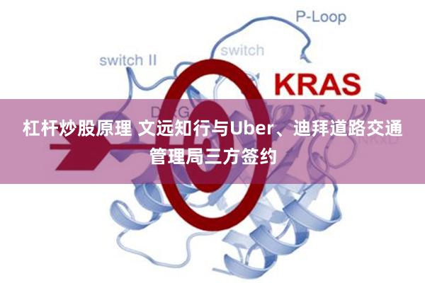 杠杆炒股原理 文远知行与Uber、迪拜道路交通管理局三方签约