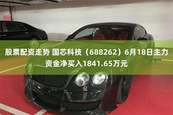 股票配资走势 国芯科技(688262)6月18日主力资金净买入1841.65万元