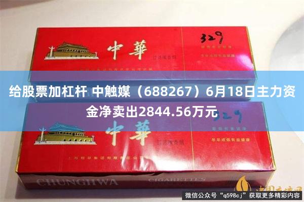 给股票加杠杆 中触媒（688267）6月18日主力资金净卖出2844.56万元