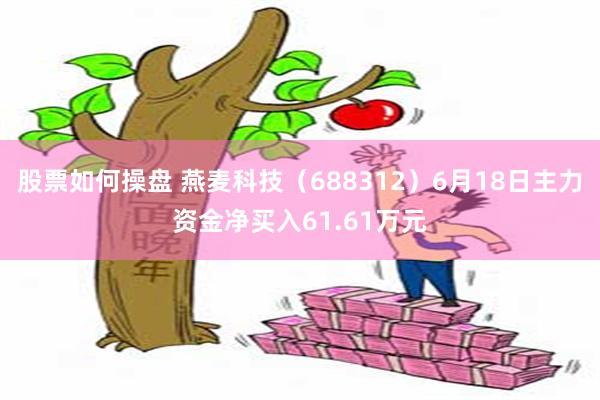 股票如何操盘 燕麦科技(688312)6月18日主力资金净买入61.61万元
