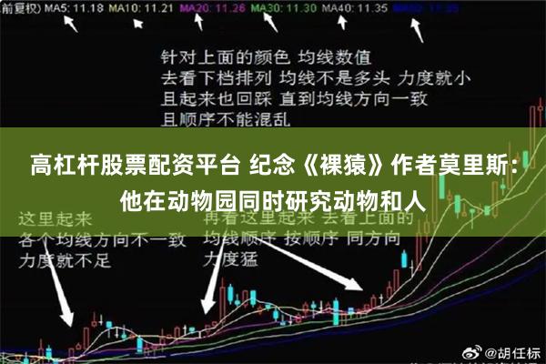 高杠杆股票配资平台 纪念《裸猿》作者莫里斯：他在动物园同时研究动物和人