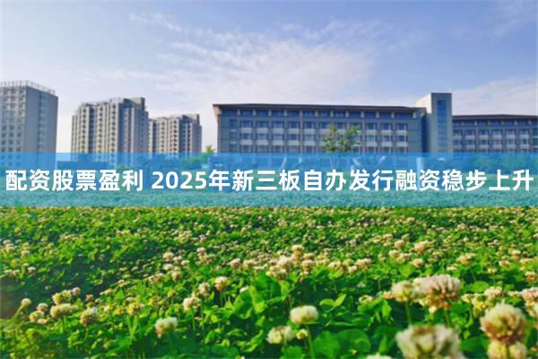 配资股票盈利 2025年新三板自办发行融资稳步上升