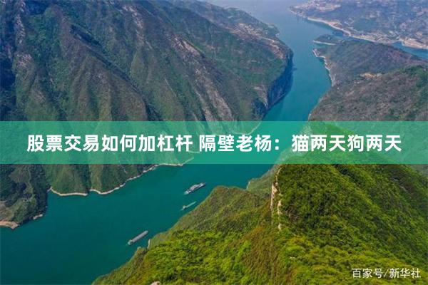 股票交易如何加杠杆 隔壁老杨：猫两天狗两天