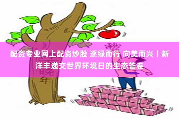 配资专业网上配资炒股 逐绿而行 向美而兴丨新洋丰递交世界环境日的生态答卷