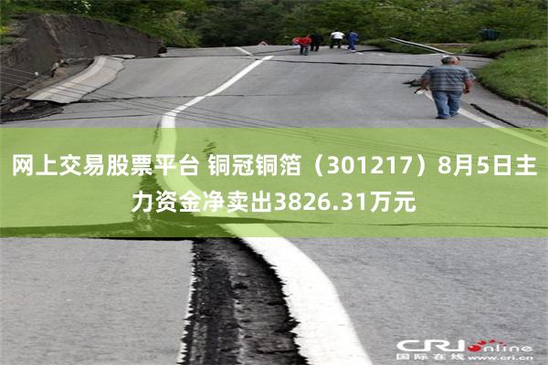 网上交易股票平台 铜冠铜箔（301217）8月5日主力资金净卖出3826.31万元