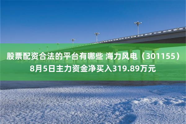 股票配资合法的平台有哪些 海力风电（301155）8月5日主力资金净买入319.89万元