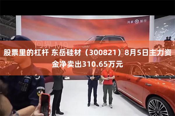 股票里的杠杆 东岳硅材（300821）8月5日主力资金净卖出310.65万元
