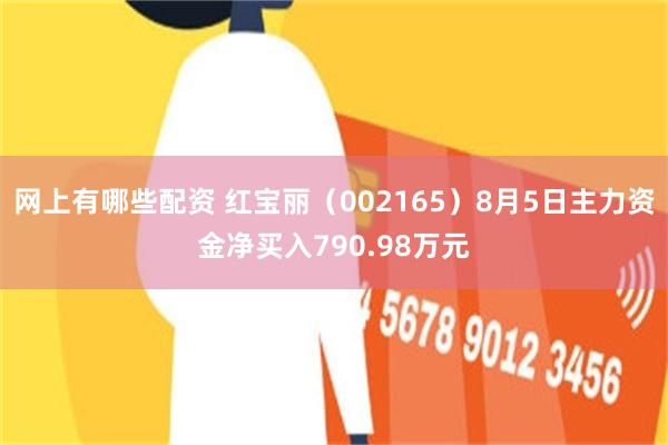 网上有哪些配资 红宝丽（002165）8月5日主力资金净买入790.98万元