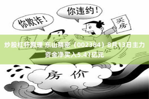 炒股杠杆原理 东山精密(002384)8月13日主力资金净买入5.41亿元
