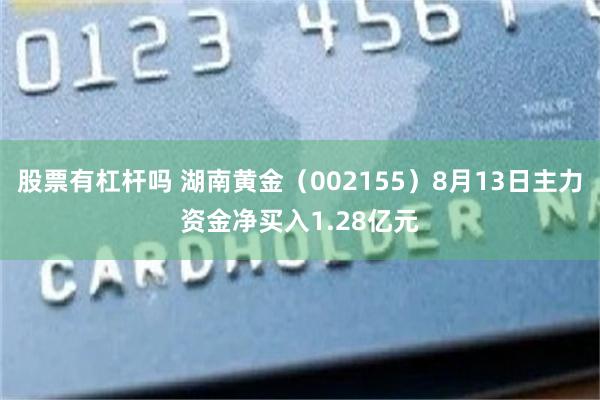 股票有杠杆吗 湖南黄金（002155）8月13日主力资金净买入1.28亿元