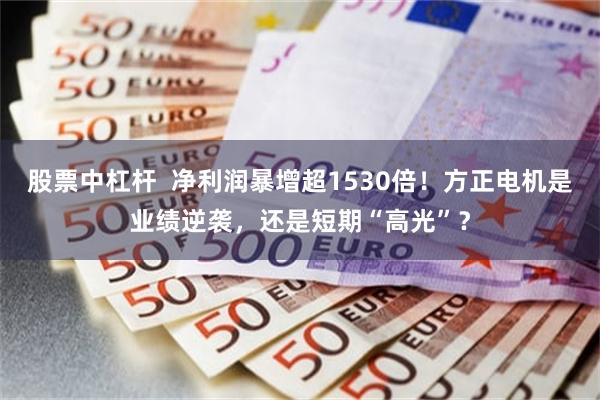 股票中杠杆  净利润暴增超1530倍！方正电机是业绩逆袭，还是短期“高光”？