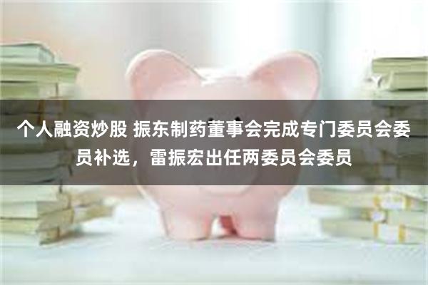 个人融资炒股 振东制药董事会完成专门委员会委员补选，雷振宏出任两委员会委员
