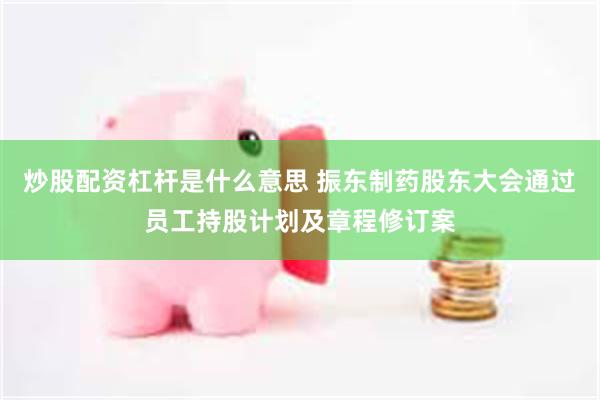 炒股配资杠杆是什么意思 振东制药股东大会通过员工持股计划及章程修订案