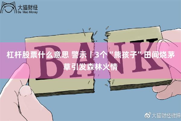 杠杆股票什么意思 警示丨3个“熊孩子”田间烧茅草引发森林火情