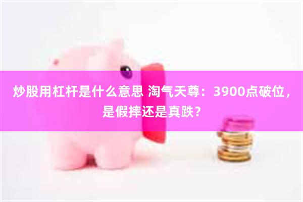 炒股用杠杆是什么意思 淘气天尊：3900点破位，是假摔还是真跌？