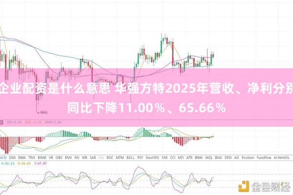 企业配资是什么意思 华强方特2025年营收、净利分别同比下降11.00％、65.66％