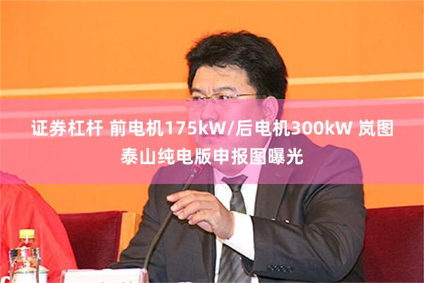 证券杠杆 前电机175kW/后电机300kW 岚图泰山纯电版申报图曝光