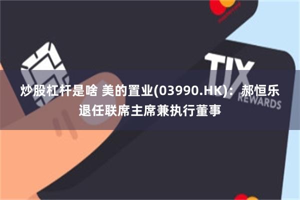 炒股杠杆是啥 美的置业(03990.HK)：郝恒乐退任联席主席兼执行董事