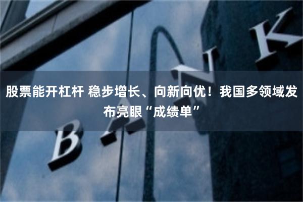 股票能开杠杆 稳步增长、向新向优！我国多领域发布亮眼“成绩单”