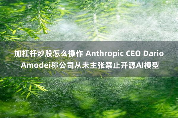 加杠杆炒股怎么操作 Anthropic CEO Dario Amodei称公司从未主张禁止开源AI模型