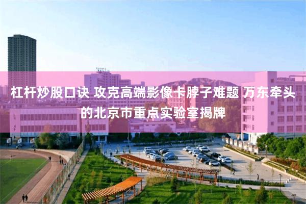 杠杆炒股口诀 攻克高端影像卡脖子难题 万东牵头的北京市重点实验室揭牌