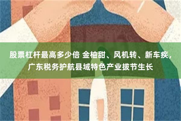 股票杠杆最高多少倍 金柚甜、风机转、新车疾，广东税务护航县域特色产业拔节生长