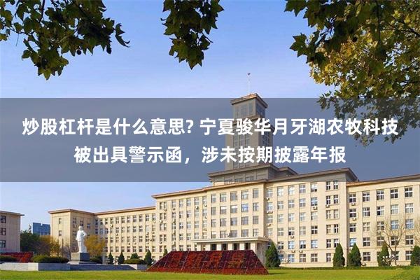 炒股杠杆是什么意思? 宁夏骏华月牙湖农牧科技被出具警示函，涉未按期披露年报