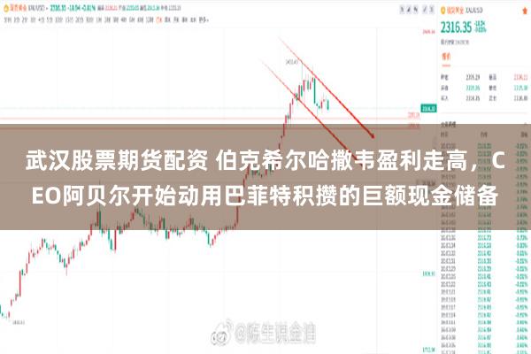 武汉股票期货配资 伯克希尔哈撒韦盈利走高，CEO阿贝尔开始动用巴菲特积攒的巨额现金储备
