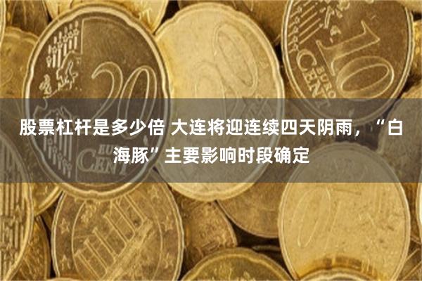 股票杠杆是多少倍 大连将迎连续四天阴雨，“白海豚”主要影响时段确定