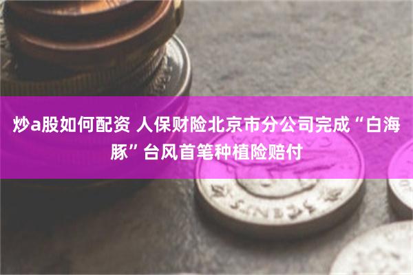 炒a股如何配资 人保财险北京市分公司完成“白海豚”台风首笔种植险赔付