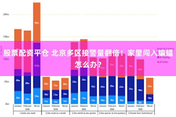 股票配资平仓 北京多区接警量翻倍！家里闯入蝙蝠怎么办？